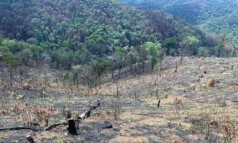 Rio Acima afetada pela supresso de floresta 
