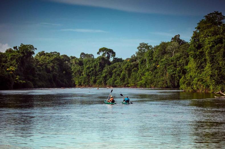 Alta Floresta, Mato Grosso