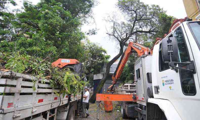 Bombeiros e equipe de limpeza da PBH fazem remoo de entulhos decorrente de queda de rvore no sbado (06/02). SLU j recolheu mais de 133 toneladas de entulho aps temporal do ltimo final de semana(foto: Alexandre Guzanshe/EM/D.A Press)