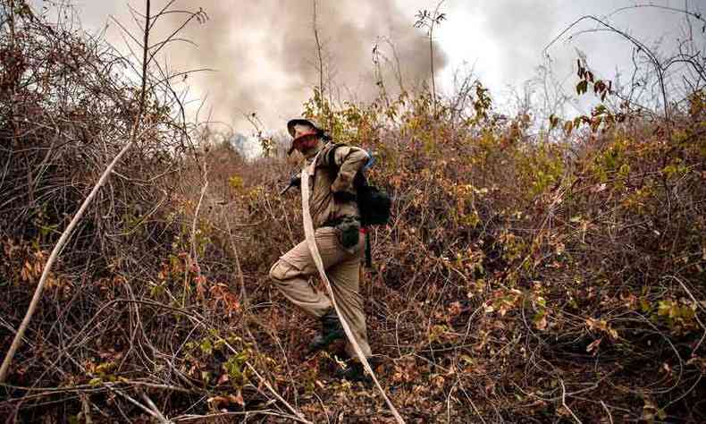 Incndios seguem destruindo reservas naturais e matando animais no Pantanal do Mato Grosso(foto: MAURO PIMENTEL/AFP)