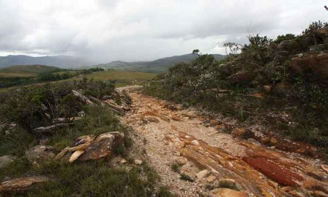 Áreas vizinhas à unidade de conservação da Serra do Cipó: invasão de gado evidencia conflitos espelhados em cadastro incorreto de propriedades rurais(foto: Edesio Ferreira/EM/D.A.Press) Áreas vizinhas à unidade de conservação da Serra do Cipó: invasão de gado evidencia conflitos espelhados em cadastro incorreto de propriedades rurais(foto: Edesio Ferreira/EM/D.A.Press)