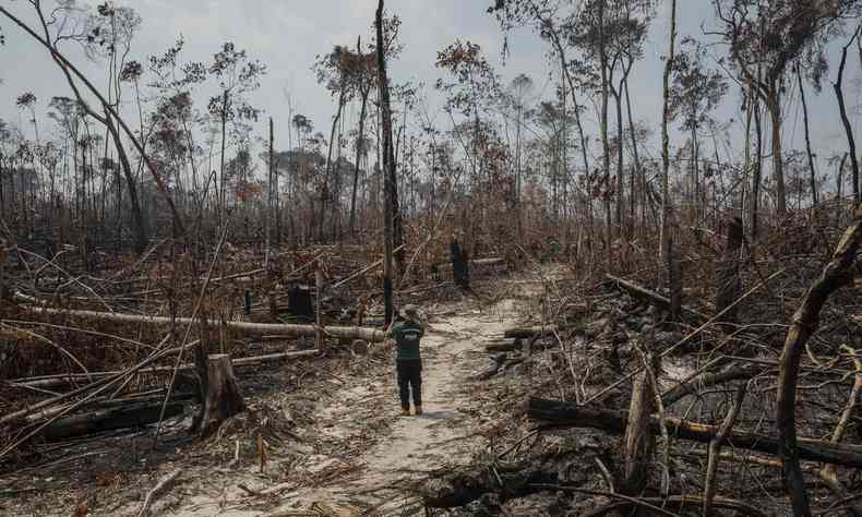 Fiscalizao em reas de desmatamento no municpio de Apu, no sul do Amazonas