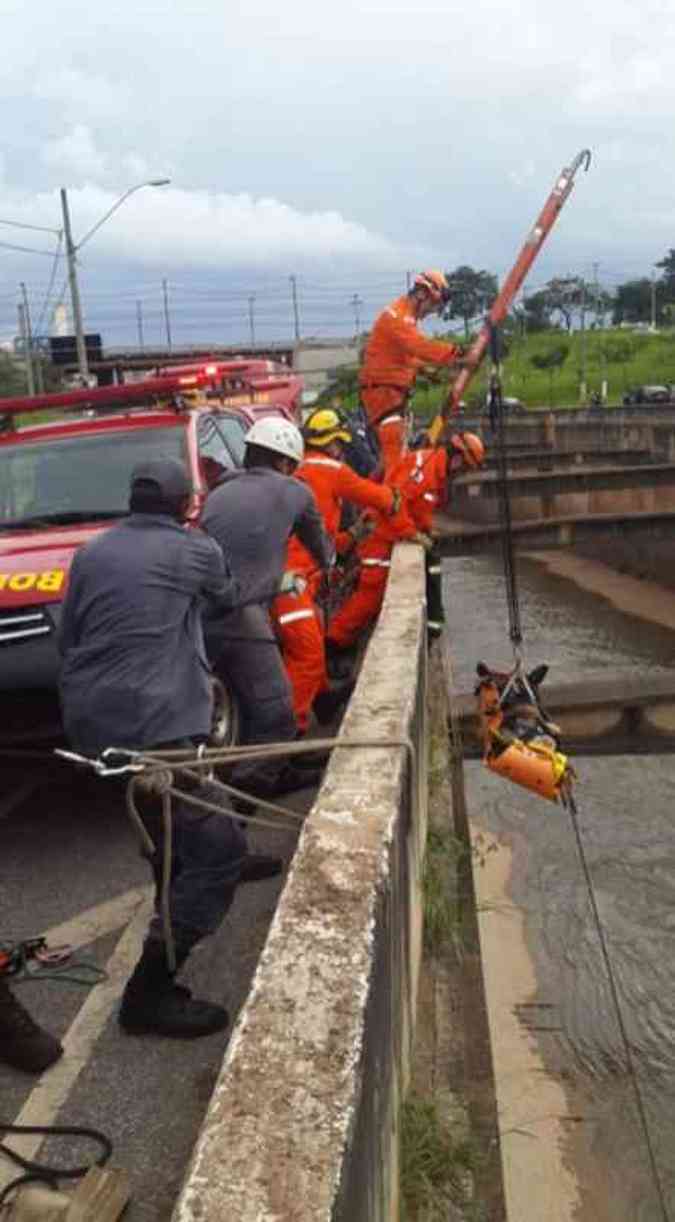 Jovem disse ter pulado no Ribeiro Arrudas para fugir de assaltoCorpo de Bombeiros MG / Divulgao