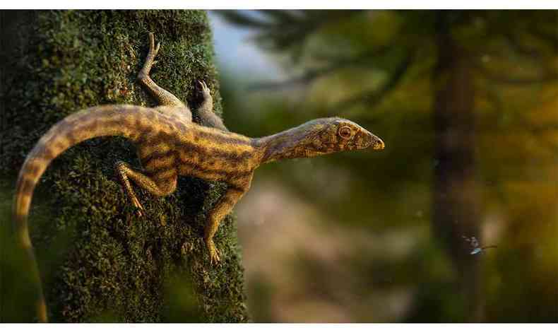 O lagarto da espcie Ixalerpeton viveu h cerca de 230 milhes de anos