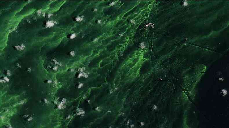 Cor verde reflete presença de algas