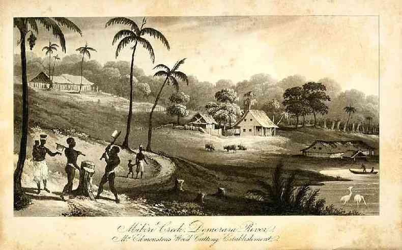 Plantao de Charles Edmonstone em Mibiri Creek, perto do Rio Demerara, na Guiana