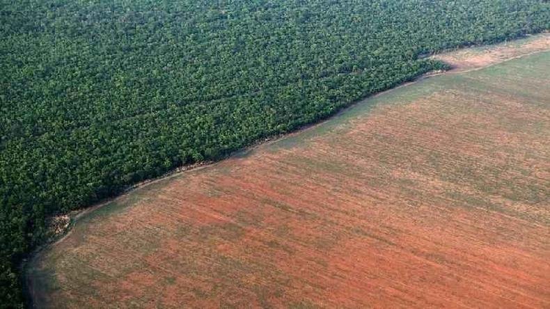 Desmatamento afeta o regime de chuvas e o clima local e no continente como um todo(foto: Paulo Whitaker/Reuters) Desmatamento afeta o regime de chuvas e o clima local e no continente como um todo