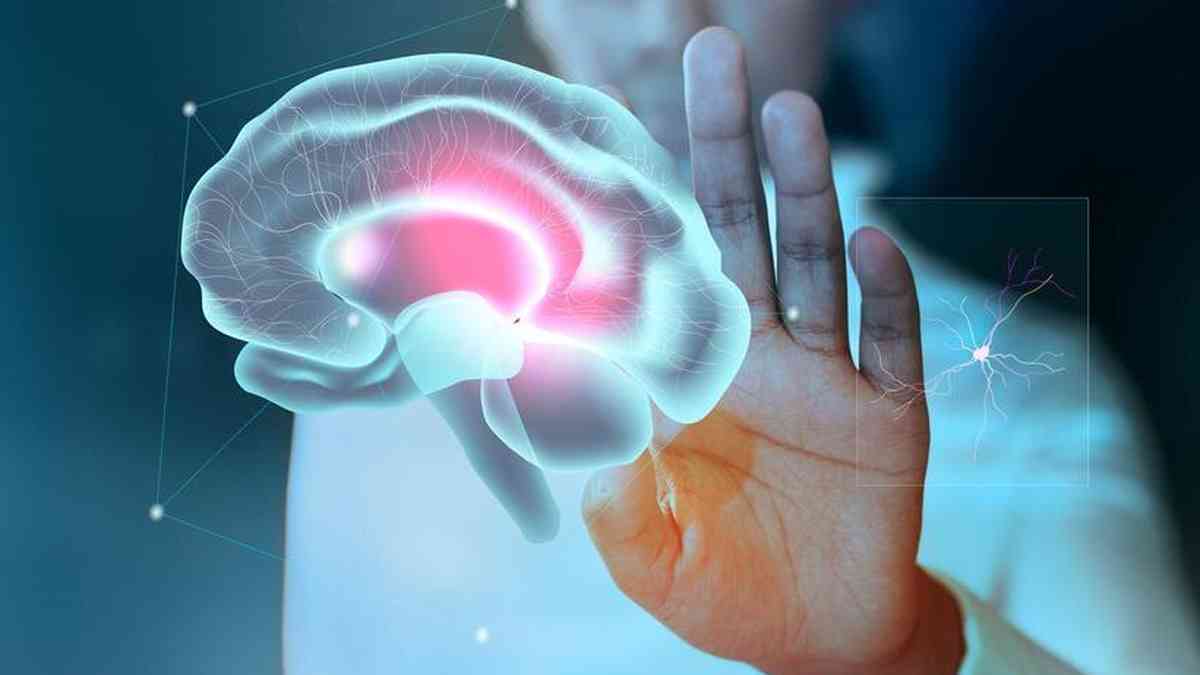Jogos estimulam o cérebro: veja dicas de neurocientista - Saúde