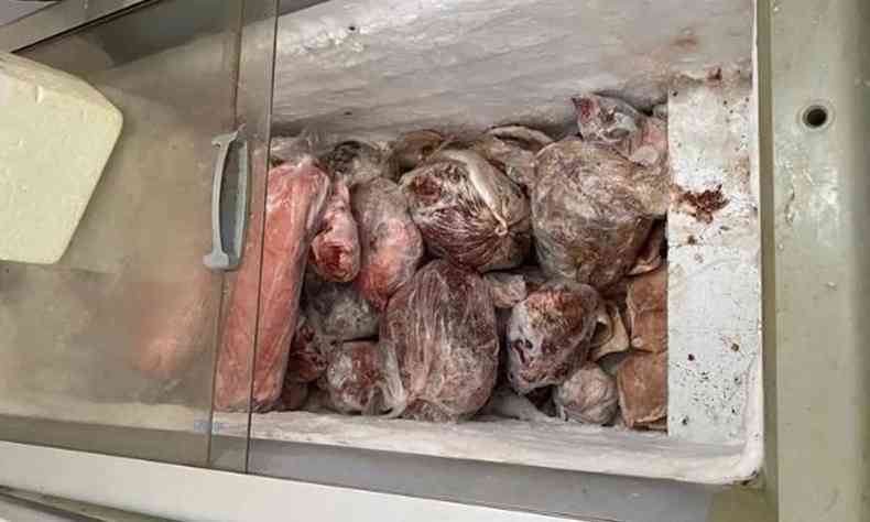 Carnes estragadas apreendidas em sacos; freezer apresenta sujeiras