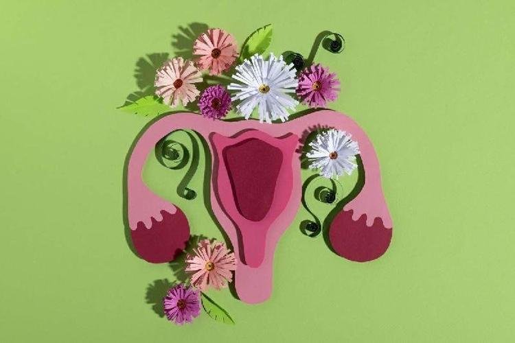 Os teratomas tem a composi��o diversificada podendo conter tecidos de dentes, cabelos e gordura