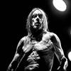 Som na caixa! Iggy Pop, de 75 anos, lança o vigoroso 'Every loser'