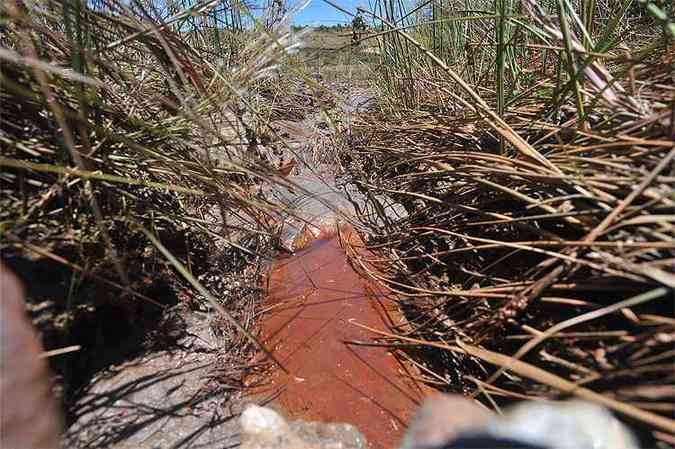 Detalhe da nascente do Rio Maracuj em rea deteriorada pela minerao (foto: Leandro Couri/EM/D.A Press)
