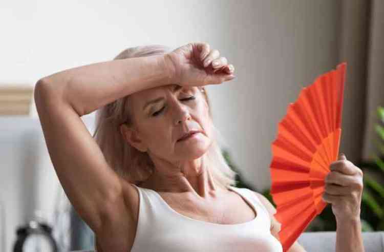 Dados da pesquisa mostram que 87,9% das entrevistadas apresentam pelo menos um sintoma da menopausa, entre eles os fogachos