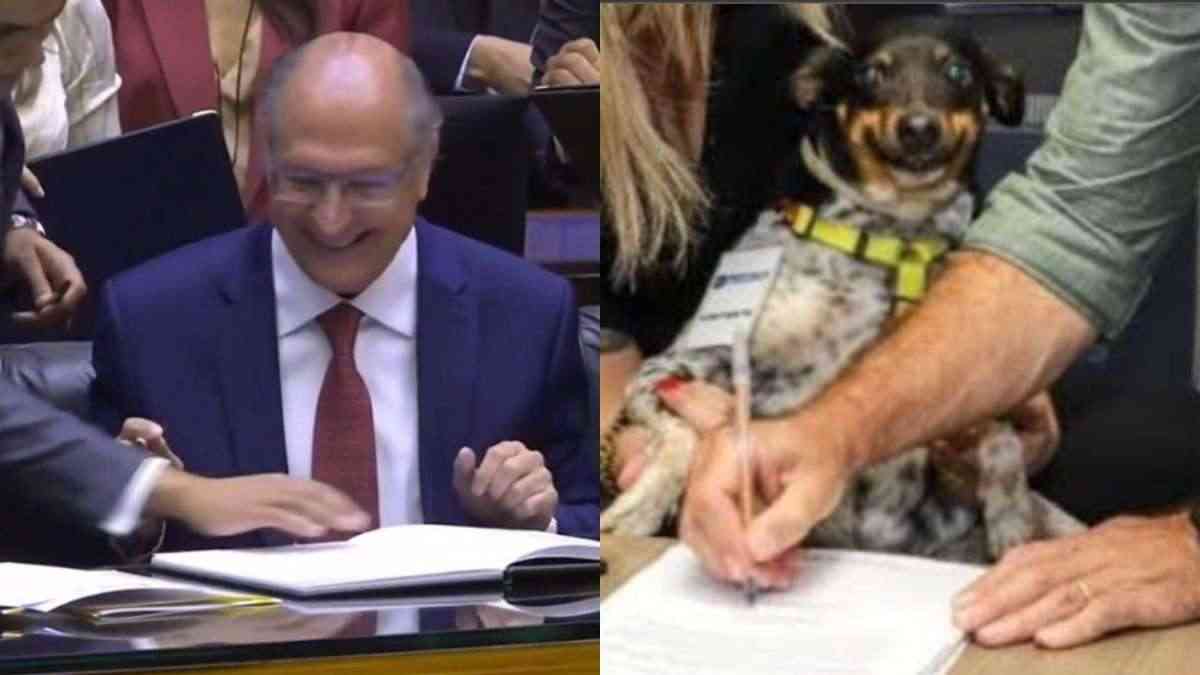 43 memes engraçados para deixar a sua semana mais alegre!