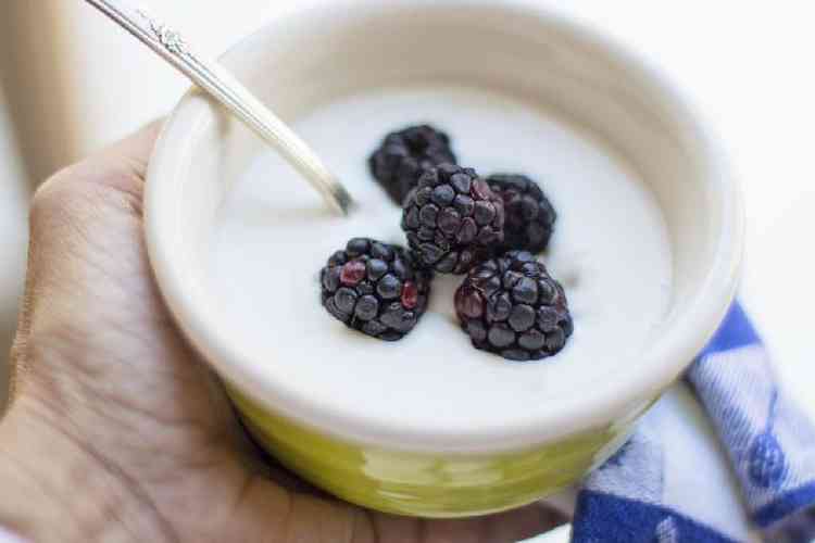 Para evitar bafo de alho, cientista sugere a iingestão de iogurte (Imagem: Terri Cnudde/Pixabay)