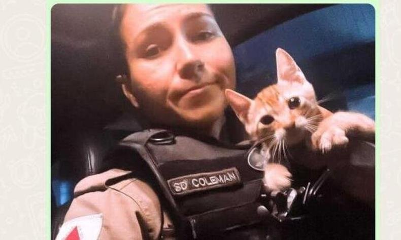 Policial militar acabou levando o gatinho para casa