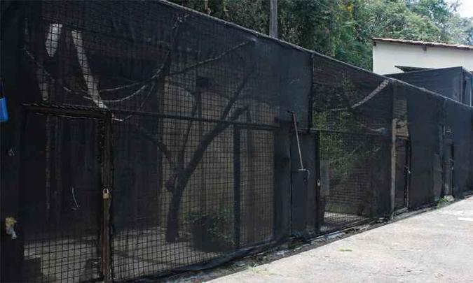 Recintos com telas para proteger macacos no Zoológico de BH(foto: Daniel Alves/Fundação Zoobotânica/Divulgação) Recintos com telas para proteger macacos no Zoológico de BH(foto: Daniel Alves/Fundação Zoobotânica/Divulgação)