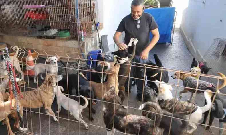 Na foto, o ativista Franklin Oliveira com os animais do abrigo que mantm