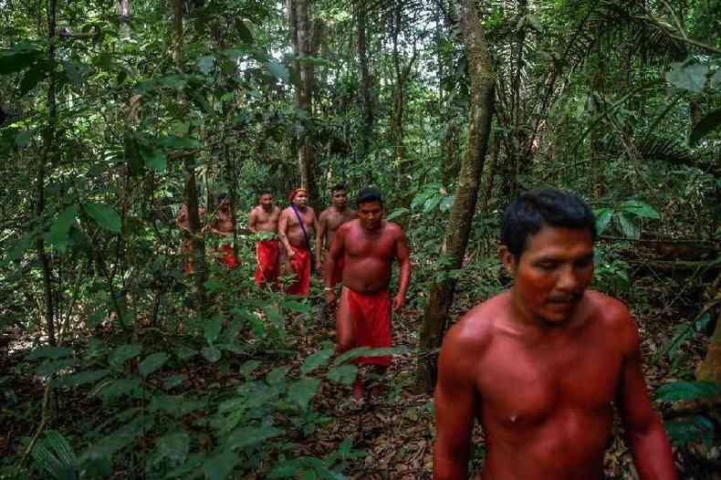 Indgenas amaznicos caminhando pela selva.