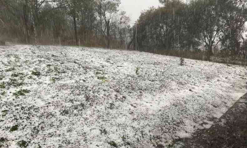 Pedras de gelo tomam a vegetao em Poos de Caldas(foto: Leandro Albino - TV Poos)