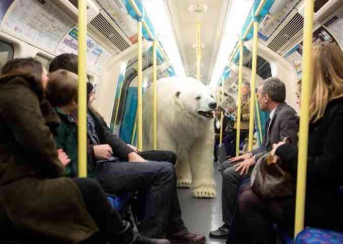 Uma promoo de uma srie de TV inglesa colocou um urso polar para andar pelas ruas de Londres em uma promoo do lanamento do programaTwitter/Reproduo