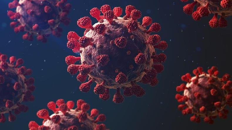 Foram 1.910 mortos nas �ltimas 24 horas(foto: Getty Images)