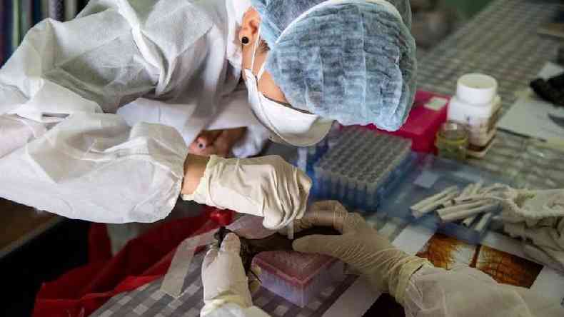 Os cientistas procuram potenciais causadores de uma prxima pandemia para combat-los com antecedncia(foto: Getty Images)