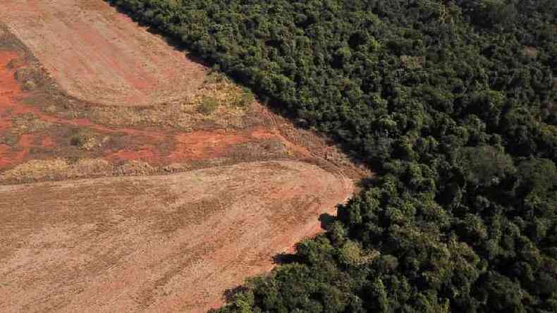 Imagem mostra desmatamento prximo a uma floresta na fronteira entre Amaznia e Cerrado em Nova Xavantina, Mato Grosso