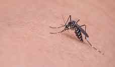 Dengue: cresce 221% o nmero de positivados nos laboratrios privados