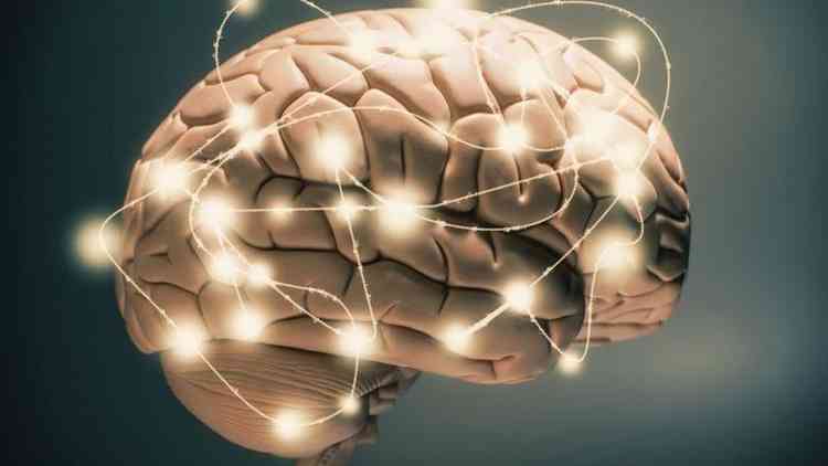 Conexes entre diferentes regies do crebro