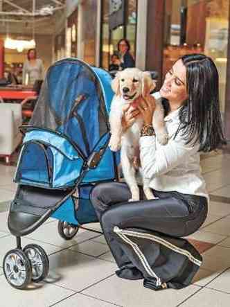 Ana Paula Alkmim usa o servico Dog Car Ponteio(foto: Henrique Queiroga/Divulgao)