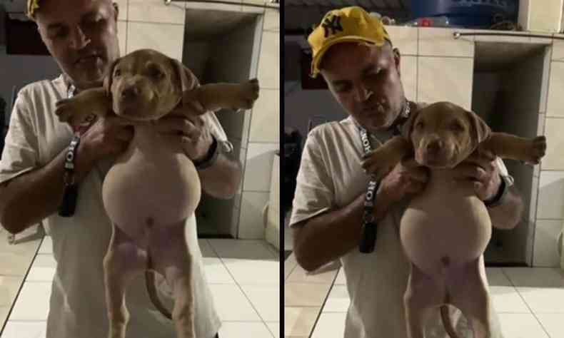 Homem segurando o cachorro que invadiu o caso de rao