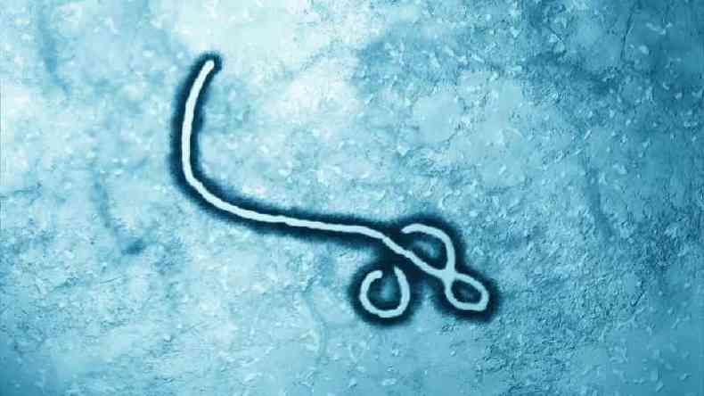 Peter Piot foi um dos descobridores do vrus ebola e ajudou a escolher esse nome, que buscava no estigmatizar ningum(foto: Getty Images)