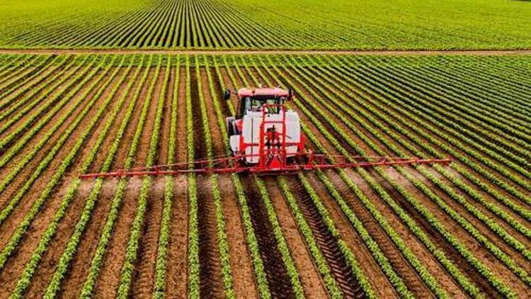 Trator em planta��o 