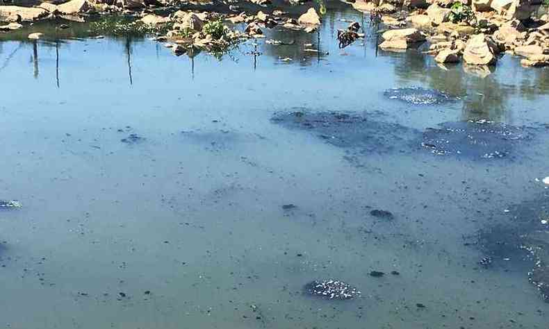 Manchas foram identificadas na Lagoa da Pampulha nessa sexta-feira(foto: SEMAD/Divulgao)