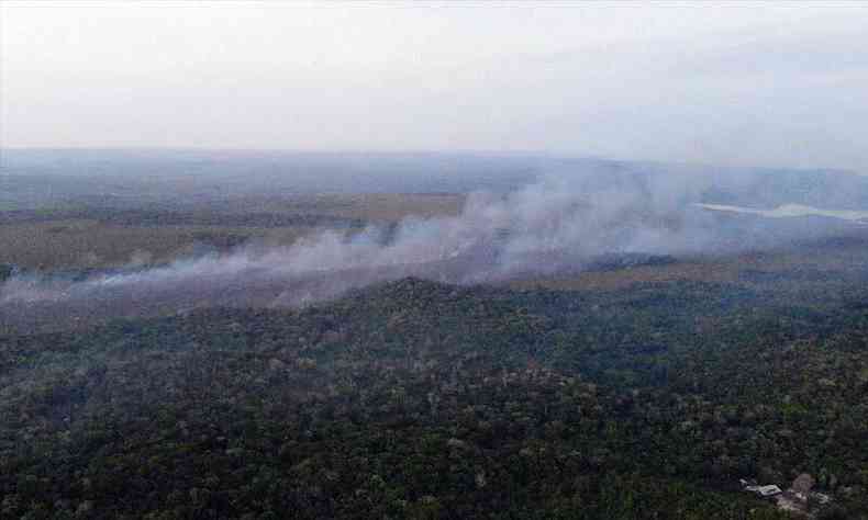 O MPF do Par afirmou que, at o momento, no h provas que apontem ligao dos membros da ONG aos incndios(foto: Divulgao Brigada de Alter do Cho (PA) )