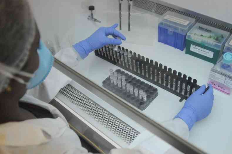 Testes de COVID-19 no laboratrio da Funed: casos confirmados chegaram a 536.044 em Minas Gerais(foto: Tlio Santos/EM/D.A Press)