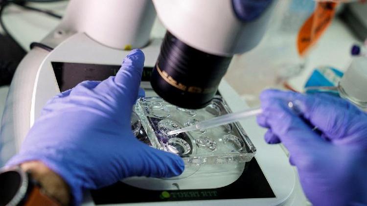 Pessoa com luvas usa microscpio em laboratrio