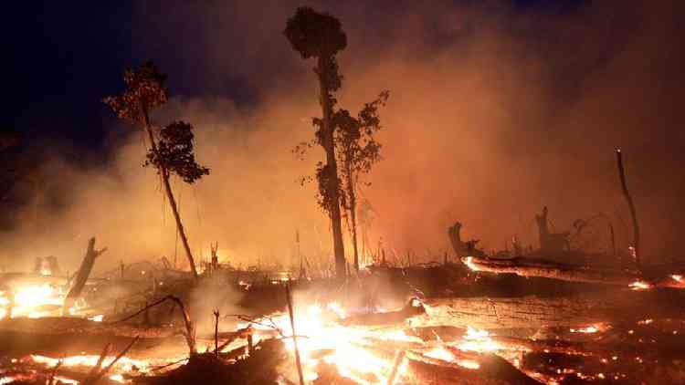 Fogo em Machadinho do Oeste (RO), dentro da Floresta Amaznica