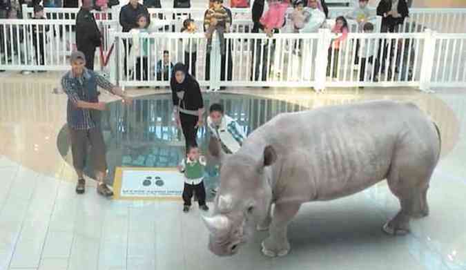 Rinoceronte virtual projetado em rea de shopping center surpreende e diverte visitantes(foto: NATGEO/REPRODUO)