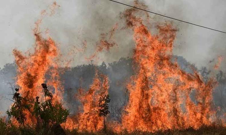 (foto: Correio Braziliense)