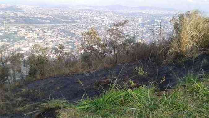 Chamas queimaram parte da mata de preservao do Parque. Administrao suspeita de incndio criminoso(foto: Cristiane Silva / Esp EM)