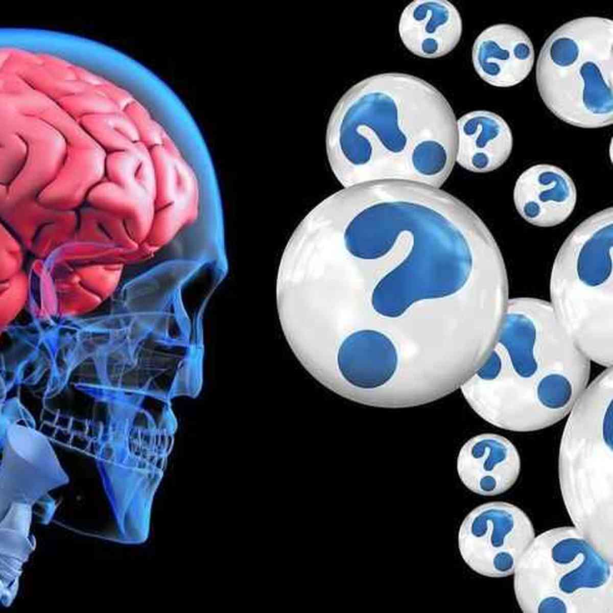 Jogar protege o cérebro do envelhecimento, mostra novo estudo
