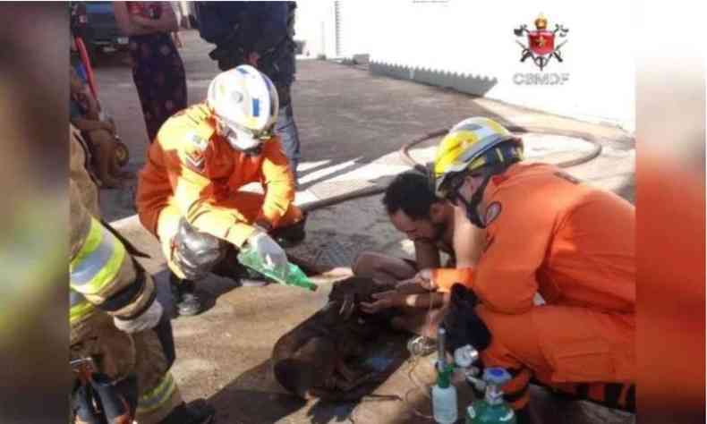 cachorro sendo salvo pelos militares bombeiros 