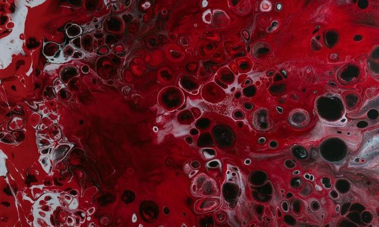 sangue, clulas sanguineas