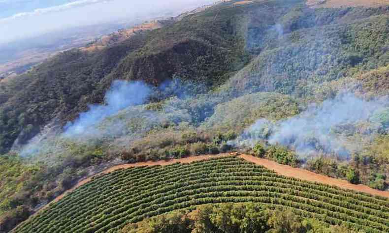 A maior parte de destruio do incndio foi em rea de preservao ambiental(foto: Corpo de Bombeiros de Minas Gerais/Divulgao)