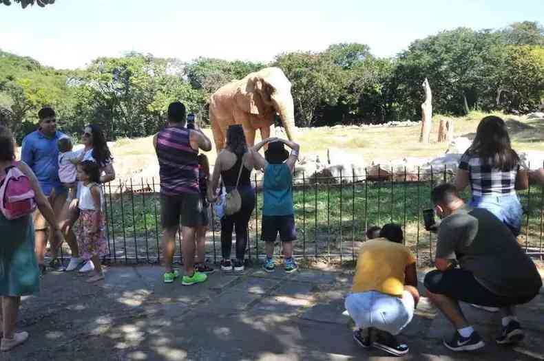 Famlias tiram foto com elefante no zoolgico de BH