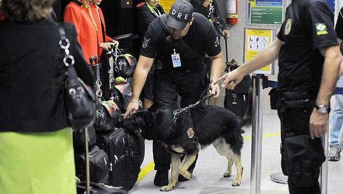 Cães farejadores foram usados na revista no Aeroporto de Confins(foto: Leandro Couri/EM/D.A.PRess) Cães farejadores foram usados na revista no Aeroporto de Confins(foto: Leandro Couri/EM/D.A.PRess)
