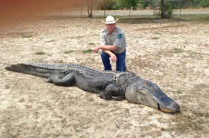 Braxton Bielski disse a um policial florestal que tinha vontade de caçar desde que era criança(foto: Texas Parks and Wildlife Department) Braxton Bielski disse a um policial florestal que tinha vontade de caçar desde que era criança(foto: Texas Parks and Wildlife Department)