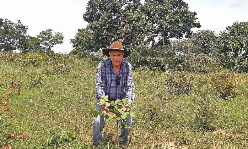 Mário Veríssimo e uma das 100 mudas de pequi que plantou em sua propriedade, onde já há cerca de 2 mil pés nativos: 'Convênio com a natureza'(foto: Luiz Ribeiro/EM/D.a press) Mário Veríssimo